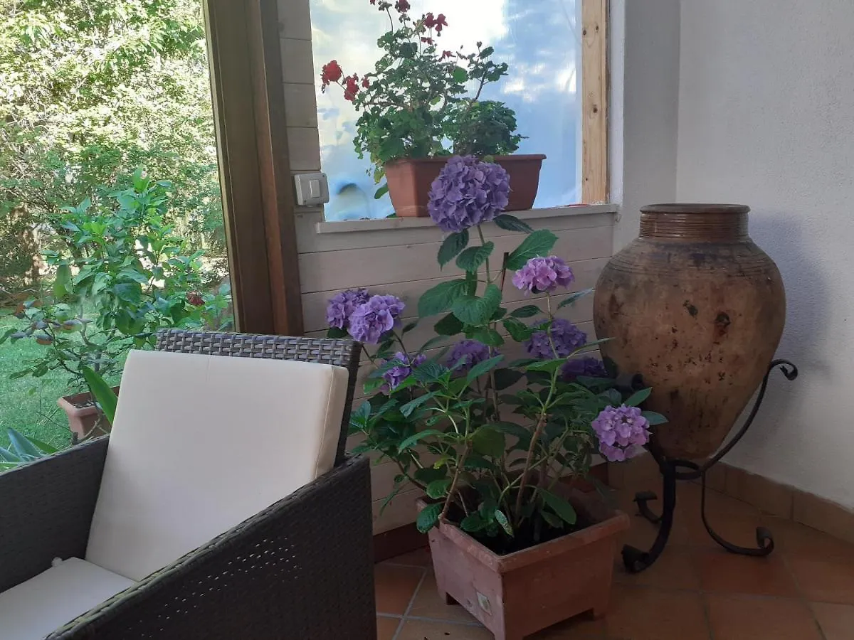 B&B Villa Bucceri Cardano al Campo Panzió