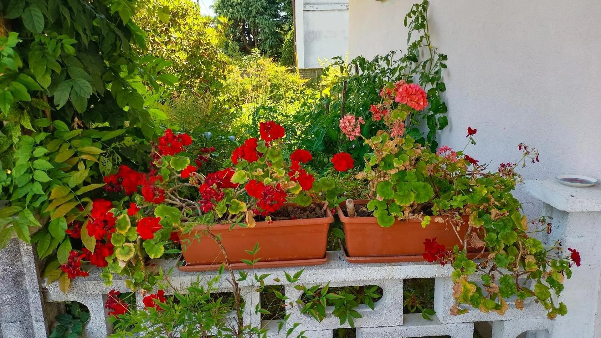 B&B Villa Bucceri Cardano al Campo Panzió